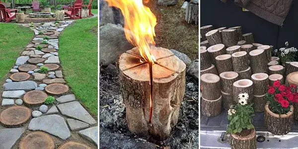 Jak ozdobić drzewo w ogrodzie: 10 kreatywnych pomysłów na dekoracje