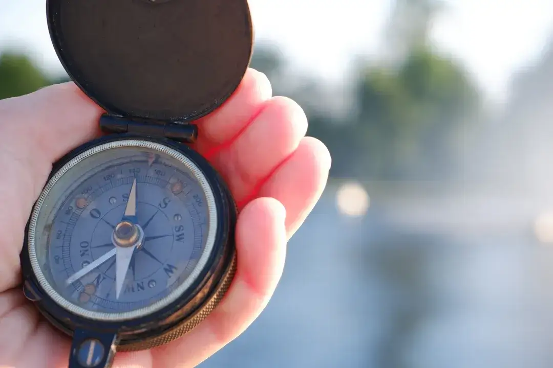 Jak się nazywa igła w kompasie i dlaczego jest tak ważna?