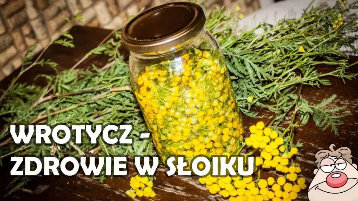 Jak zrobić nalewkę z wrotyczu - prosta receptura na zdrowie