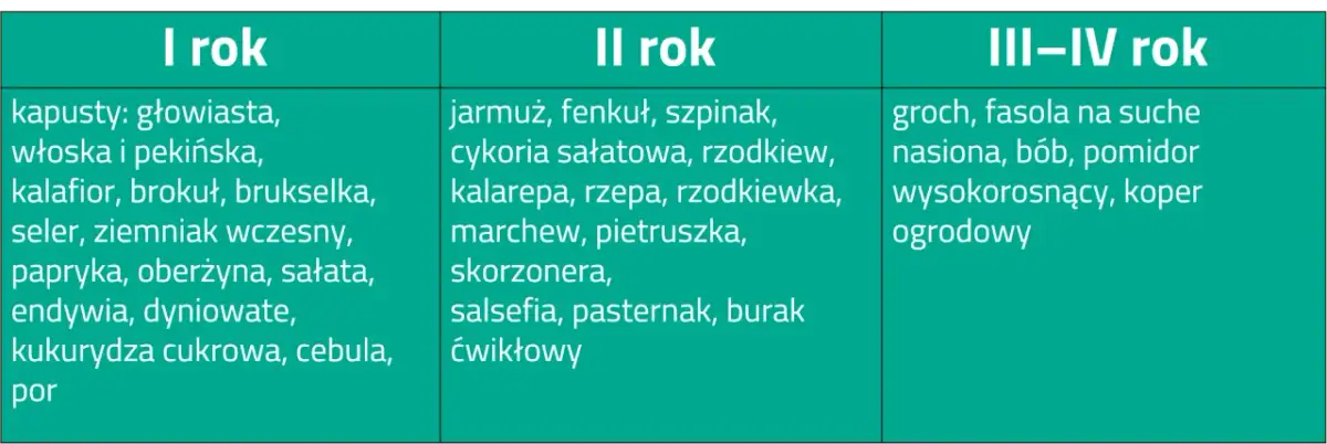 Kiedy kompost pod warzywa? Kluczowe terminy i skuteczne metody zastosowania