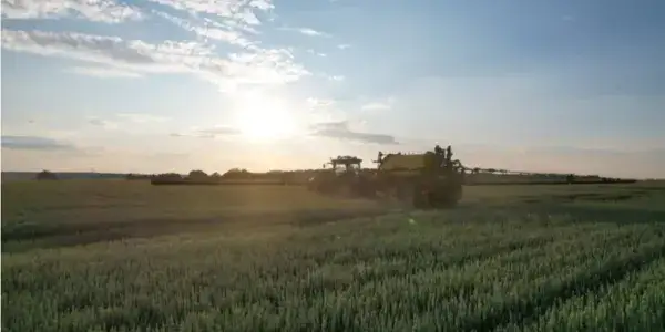 Jakie są nawozy azotowe i jak wpływają na wzrost roślin?