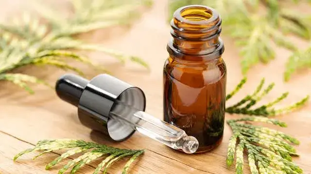 Jak zrobić domowy zapach do łazienki - 5 prostych i skutecznych metod