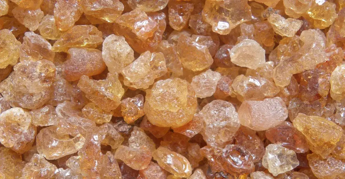 Odpowiedź na krzyżówkę: guma arabska i cztery litery KARU