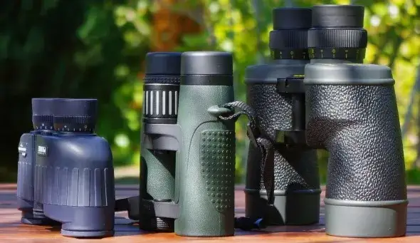 Jaka lornetka do obserwacji ptaków? Odkryj idealne modele dla Ciebie