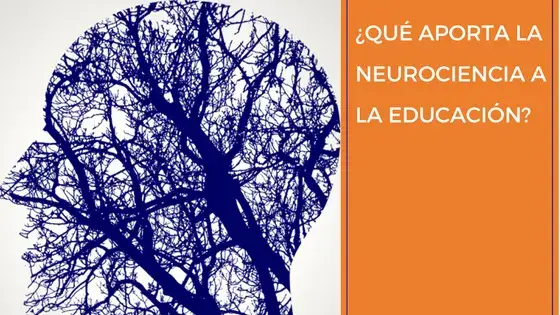 Qué es la neurociencia educativa y cómo transforma el aprendizaje