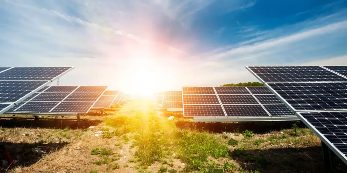 Ile kosztuje budowa farmy fotowoltaicznej? Zaskakujące szczegóły i wydatki