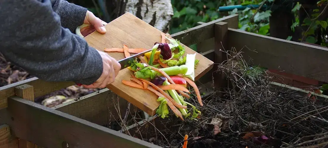 Kompost kiedy rozrzucać: najlepsze terminy i metody aplikacji w ogrodzie
