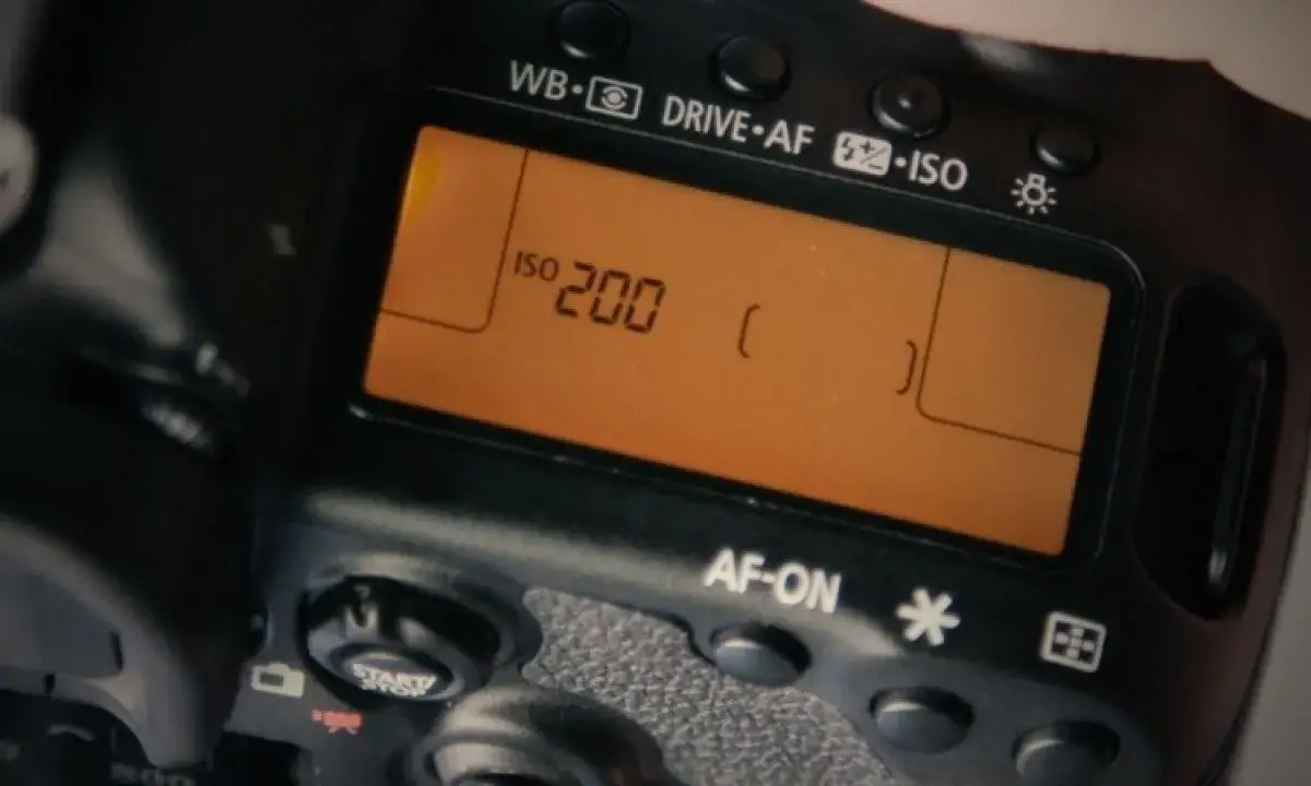 Jak ustawić ISO w aparacie, aby uniknąć rozczarowania zdjęciami