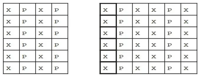 Jakie odmiany jagody kamczackiej sadzić obok siebie dla lepszych plonów