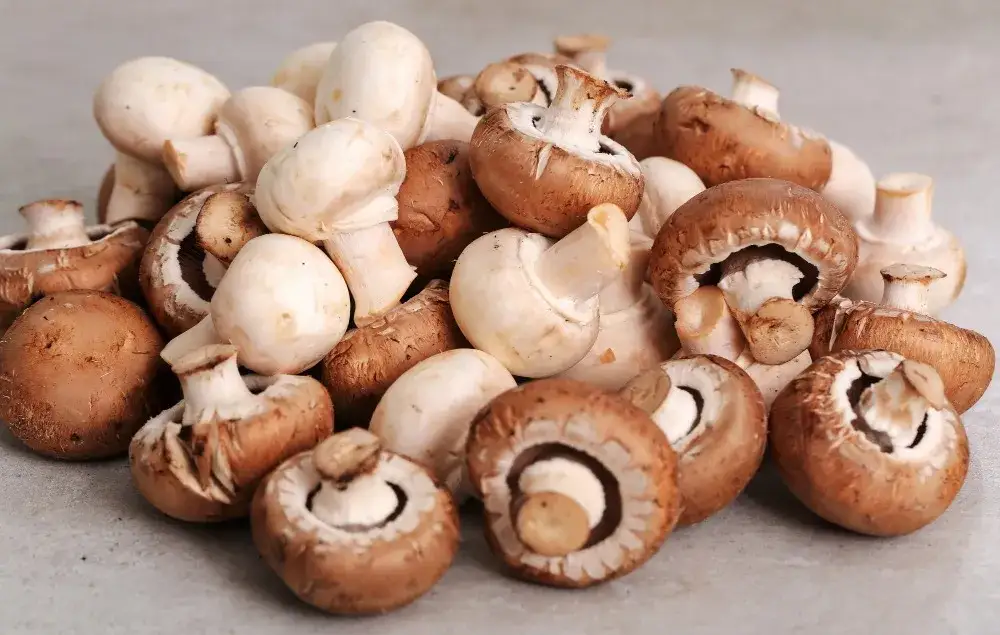 Jak hodować pieczarki w piwnicy - sprawdzone metody i porady