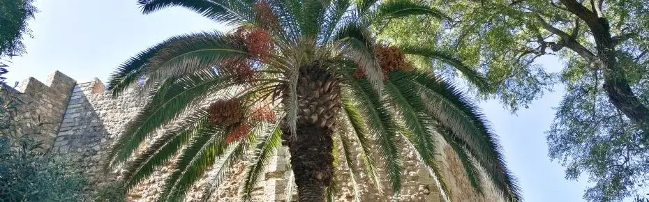 Gdzie polecieć w grudniu? Odkryj ciepłe miejsca na urlop