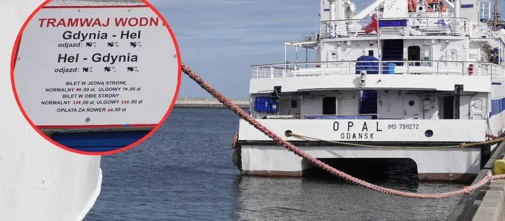 Jak dojadę Gdynia Hel? Wszystkie opcje transportu, rozkłady i ceny biletów