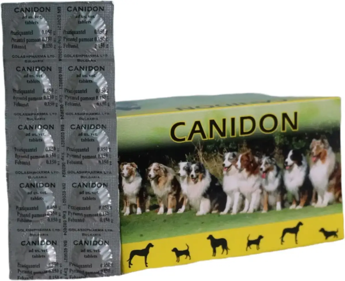 Ceny tabletek na odrobaczanie psa - ile zapłacisz za zdrowie pupila?