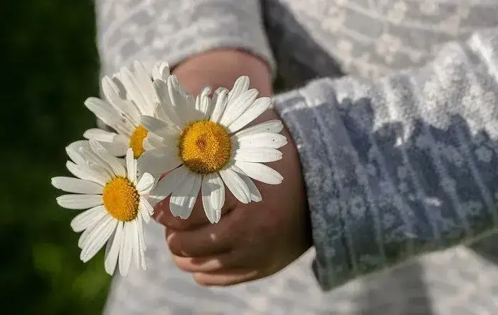 Wiersze o matce: piękne utwory, które poruszają serce i duszę