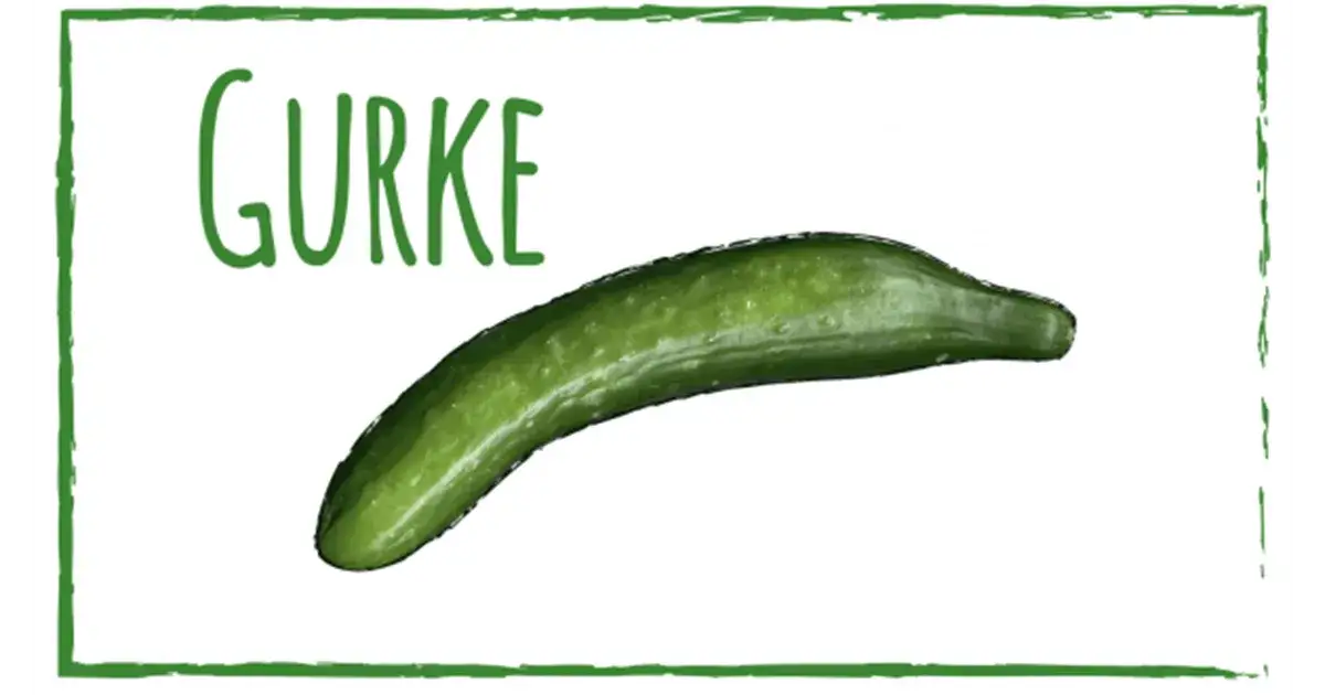 Gurken richtig aufbewahren: So bleiben sie frisch und knackig