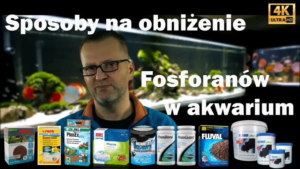 Jak obniżyć fosforany w akwarium i poprawić zdrowie ryb
