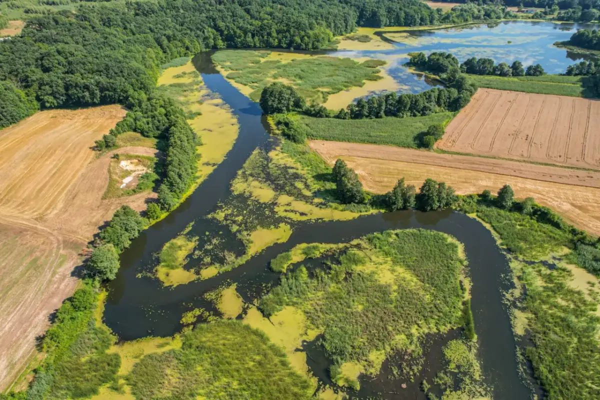 Atrakcje turystyczne Mazowsza, które musisz zobaczyć i odwiedzić