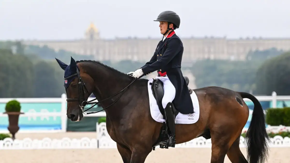 Grand Prix jeździectwo - nadchodzące zawody i transmisje w Polsce