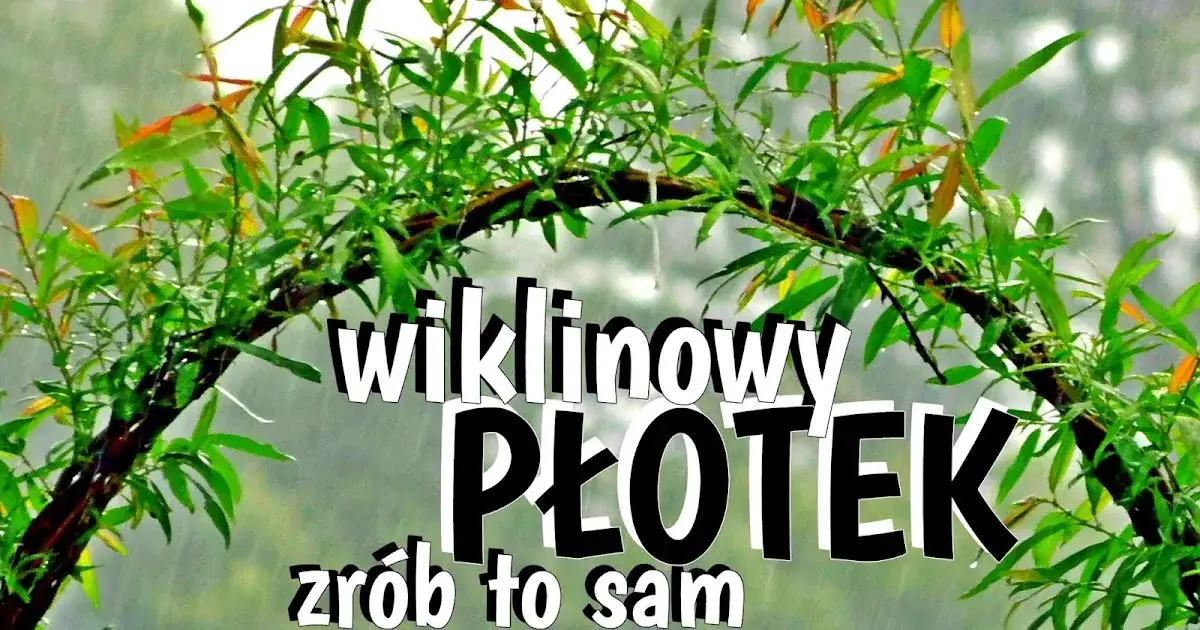 Jak zrobić płot z wikliny - proste kroki do pięknego ogrodzenia