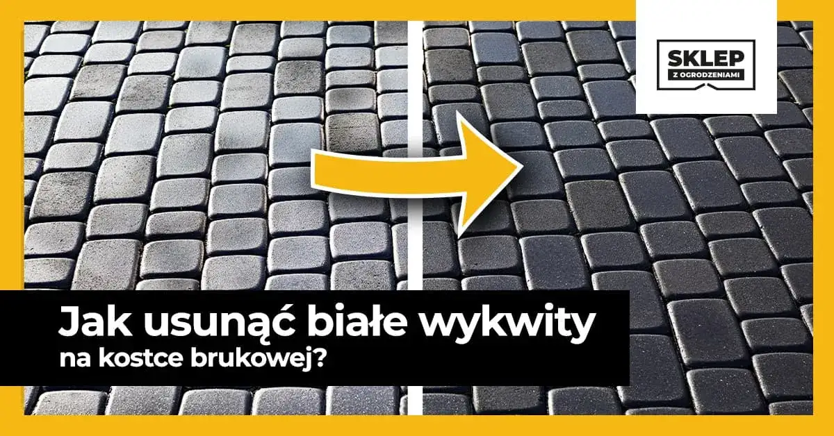 Jak usunąć biały nalot na kostce brukowej - skuteczne metody i porady