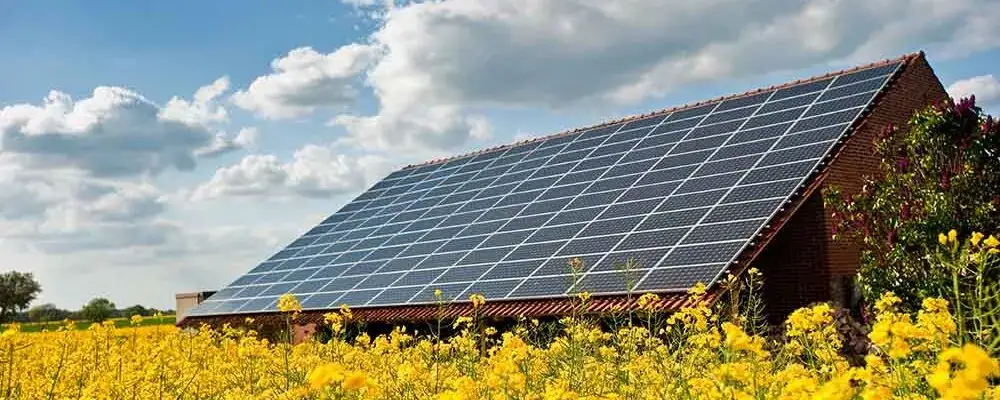 Czy fotowoltaika szkodzi zdrowiu? Prawda o panelach słonecznych