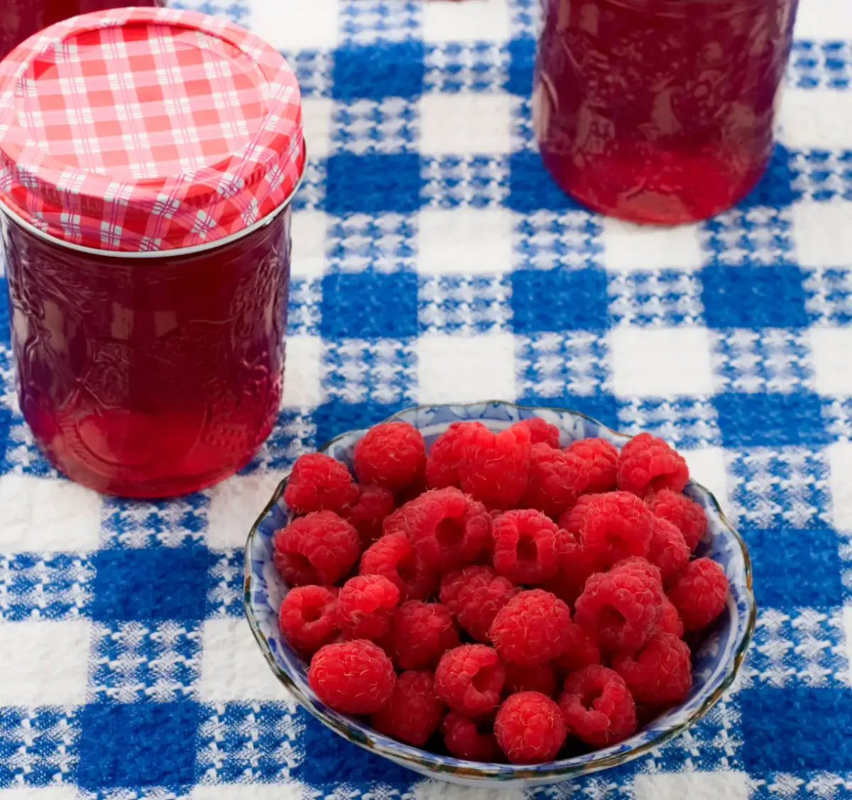 Jak zrobić sok malinowy bez cukru i cieszyć się jego smakiem