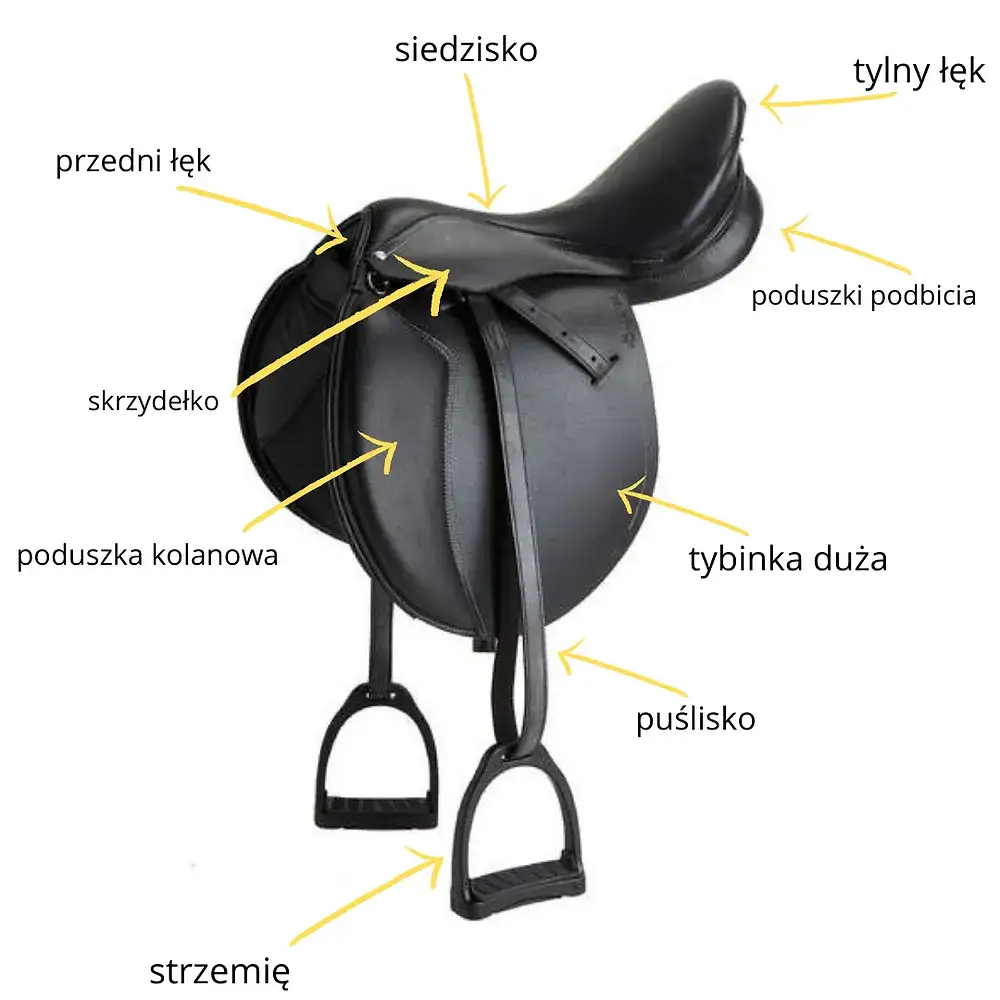 Jak wygląda siodło? Budowa, rodzaje i zastosowanie w jeździectwie