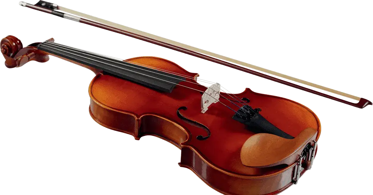 Jak nazywają się duże skrzypce? Poznaj tajemnice wiolonczeli