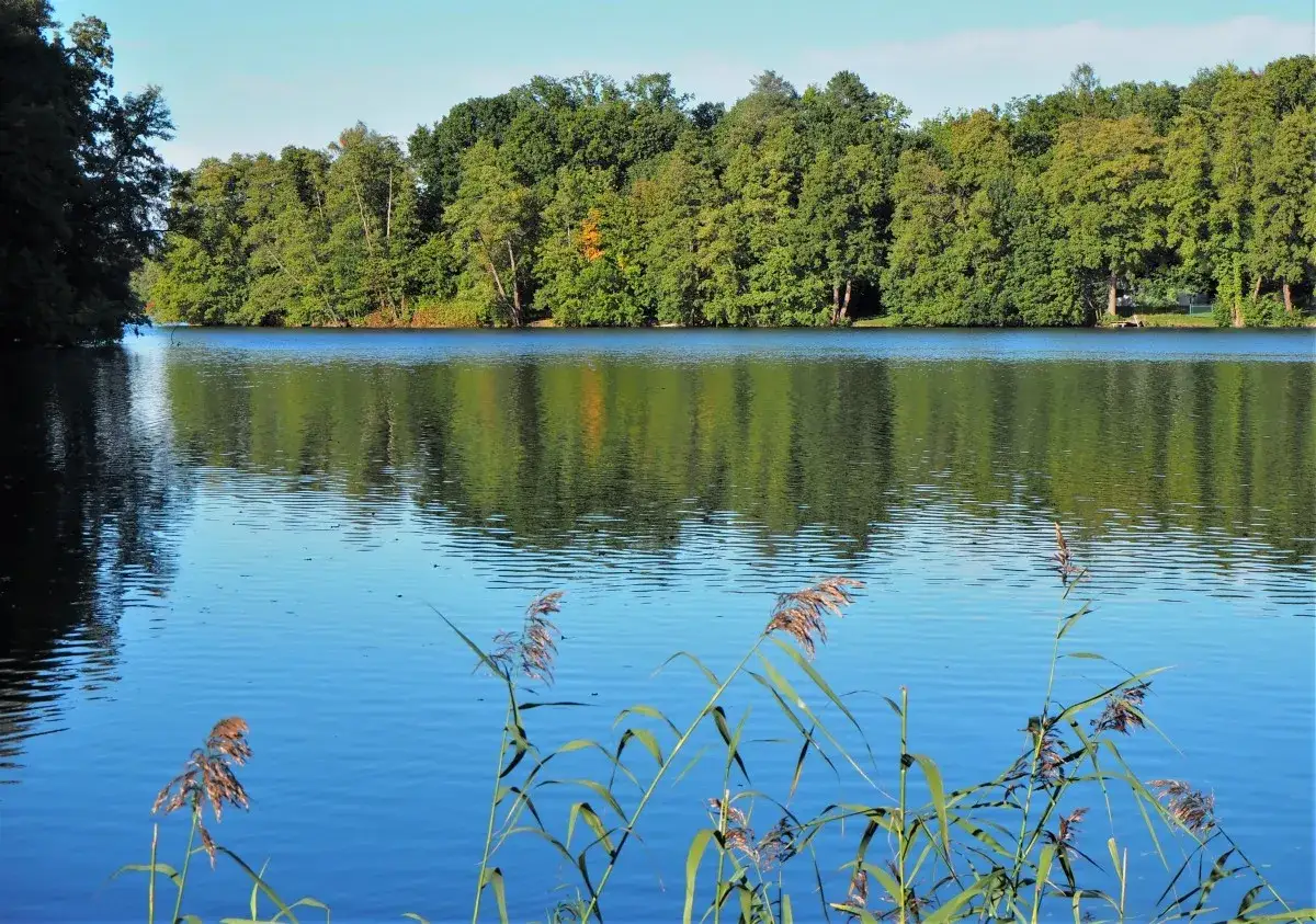 Jezioro w Łagowie: wszystko, co musisz wiedzieć o atrakcjach i rekreacji