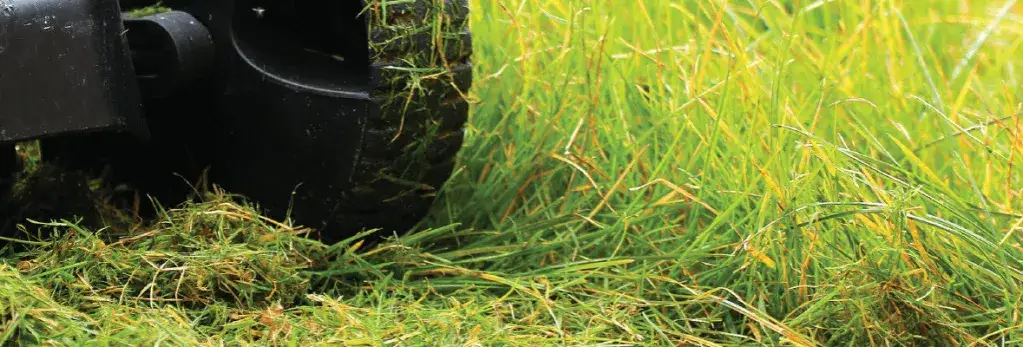 Kompost z trawy do czego? Odkryj jego niezwykłe zastosowania w ogrodzie