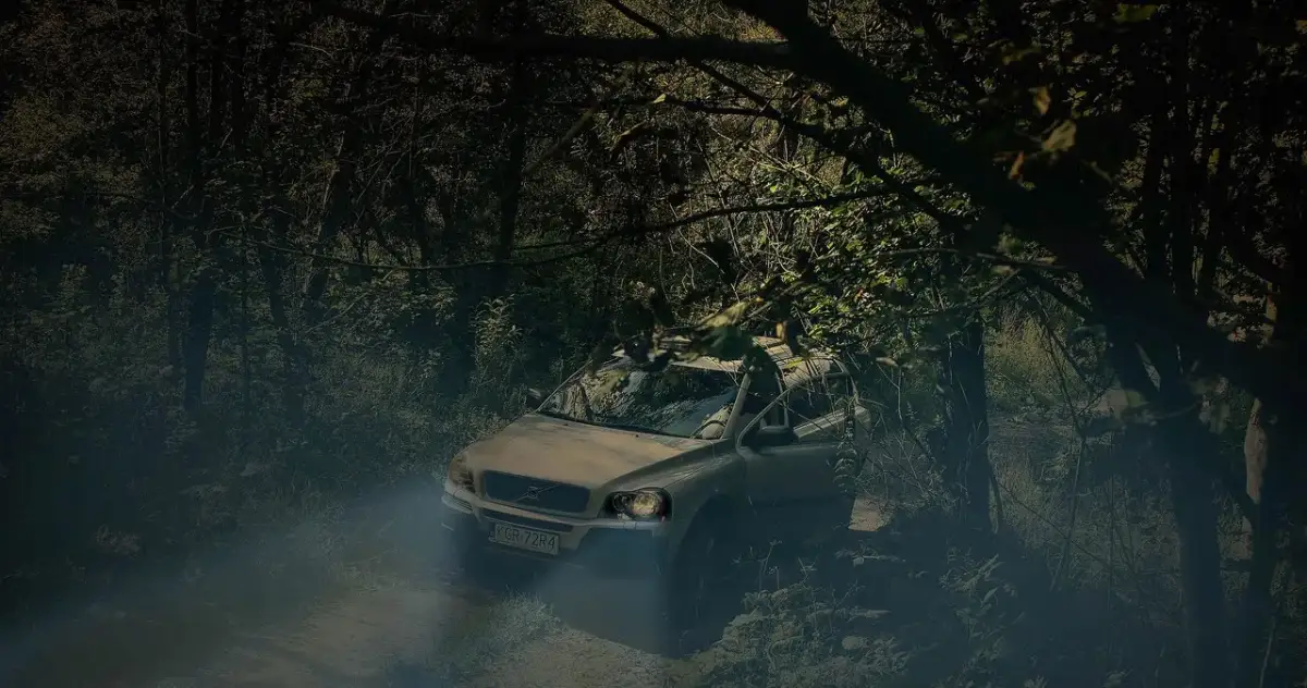 Jak znaleźć samochód w lesie - skuteczne sposoby na uniknięcie zagubienia