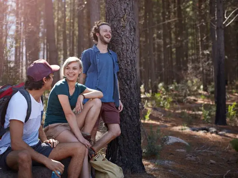 Czego nie można robić w lesie? Poznaj ważne zasady i zakazy