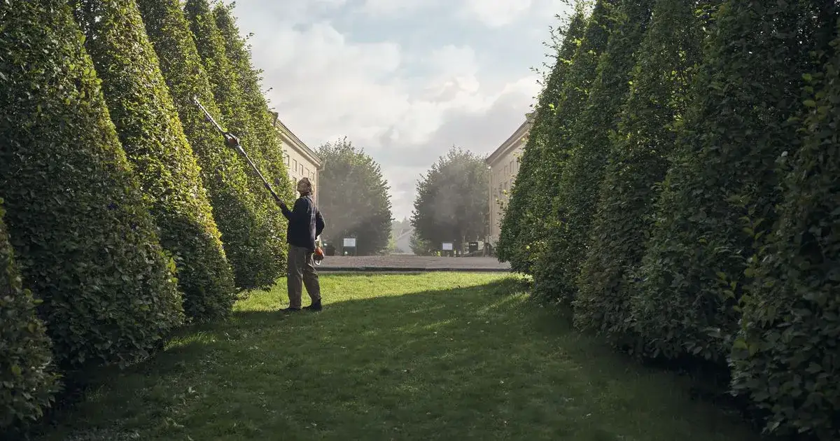 Jakie nożyce do żywopłotu na wysięgniku wybrać, aby uniknąć problemów?