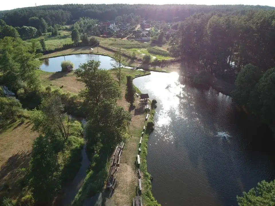 Łowisko Leśnica - idealne miejsce na wędkowanie i relaks w naturze
