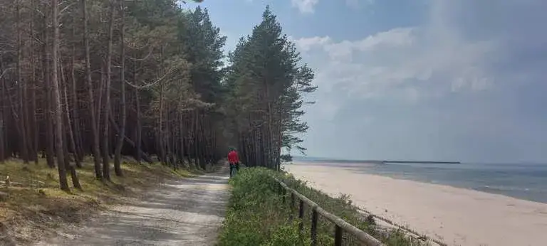 Trasa rowerowa Krynica Morska - odkryj malownicze szlaki i atrakcje