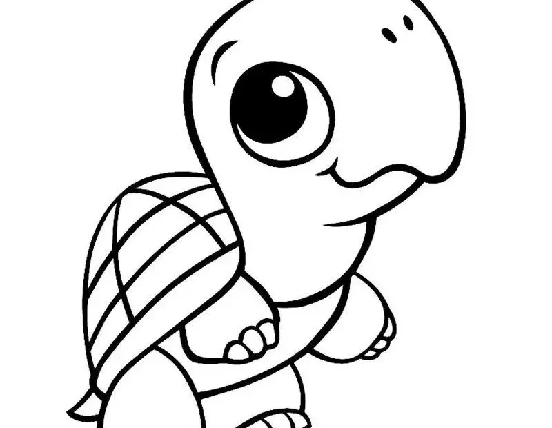 Kolorowanki żółwie dla dzieci – pobierz i wydrukuj za darmo, rozwijając kreatywność!