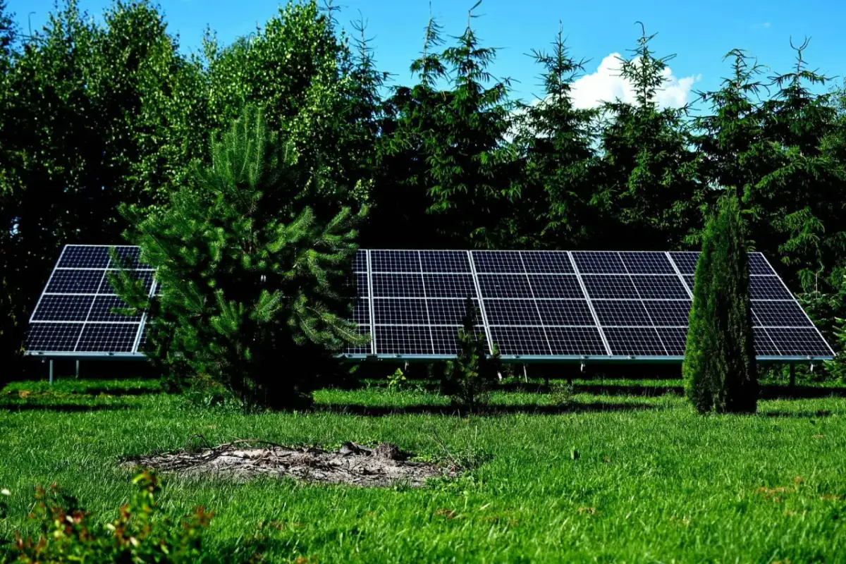 Czy warto inwestować w fotowoltaikę? Opinie z forum na temat zysków