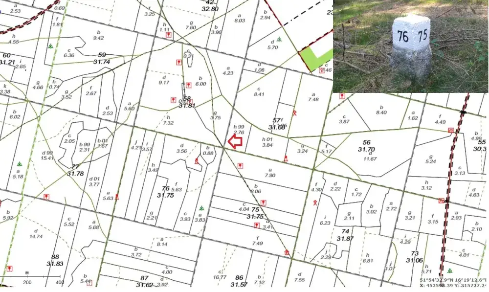 Jak używać kompasu w lesie, aby uniknąć zagubienia i błędów