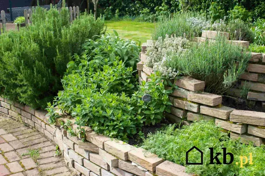 Kreatywne pomysły na wykorzystanie starych kafelków w ogrodzie