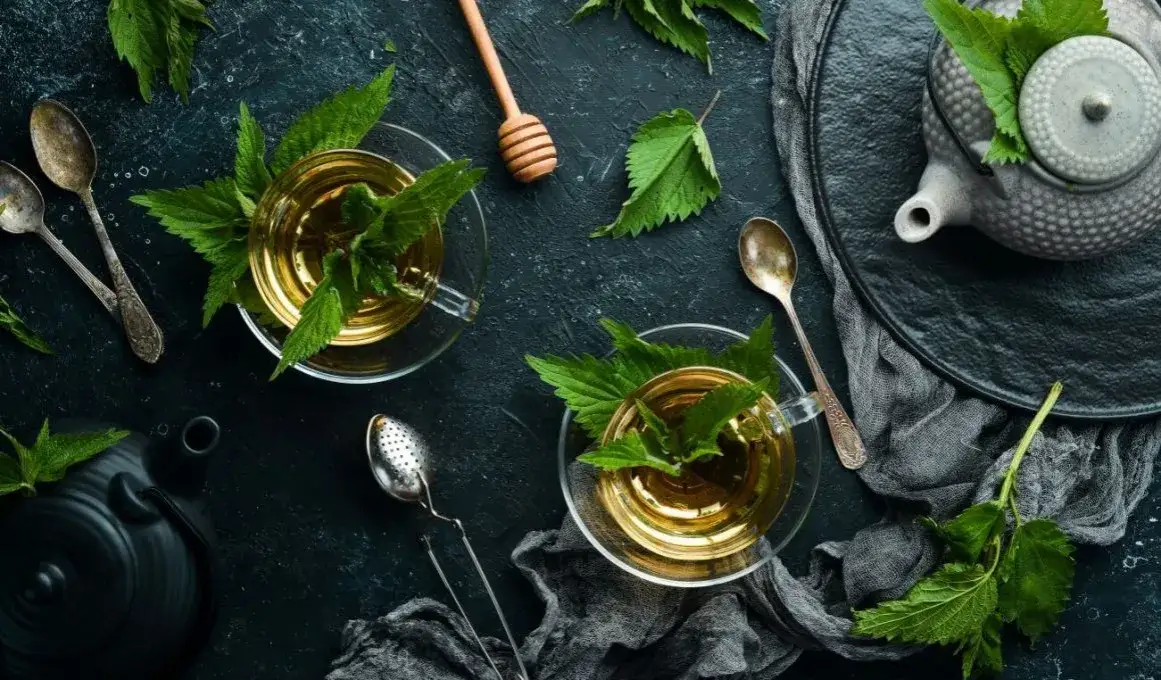 Jaką herbatę wybrać na zgagę? Sprawdź, które herbaty skutecznie łagodzą objawy