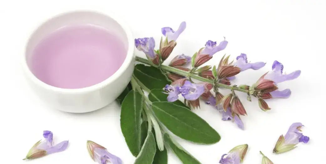 Szałwia dla dziecka od kiedy jest bezpieczna? Korzyści i przeciwwskazania dla dzieci