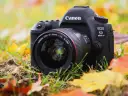 Profesjonalny aparat Canon EOS 5D Mark IV z obiektywem 35mm leży wśród jesiennych liści.