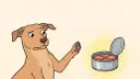 Un perro mira con duda una lata abierta de atún, preguntándose si los perros pueden comer atún.