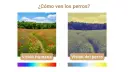 Comparación de la visión humana y canina: un campo de amapolas vibrante frente a una vista desaturada, mostrando cómo ven los perros.