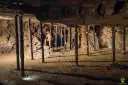 Tarnowskie Góry: Co warto zobaczyć? Przewodnik po UNESCO i nie tylko!
