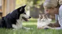 Una mujer sonríe a un gato mientras un perro, entrenado por un educador canino, observa atentamente.