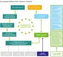Co to jest zielony ład i jak wpłynie na przyszłość Europy?
