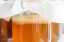 Słoiki z kombuchą, widoczna kultura SCOBY i bąbelki.
