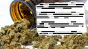 Dr ansay: privatrezept oder kassenrezept für medizinisches cannabis?