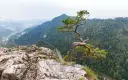 Szczawnica: Jakie góry ją otaczają? Pieniny czy Beskid Sądecki?